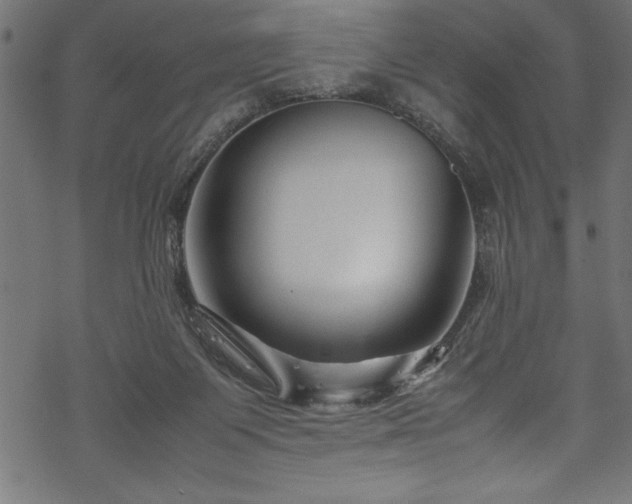 X0000070210119200605301412