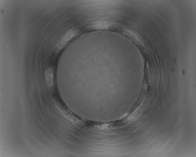 X0000070210120200605301412