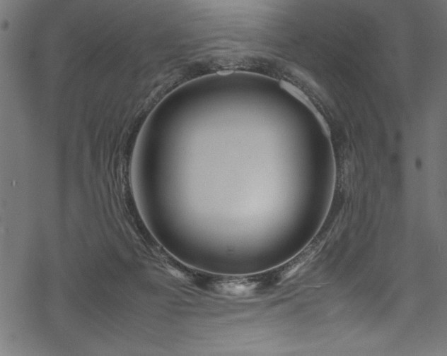 X0000070210121200605301412