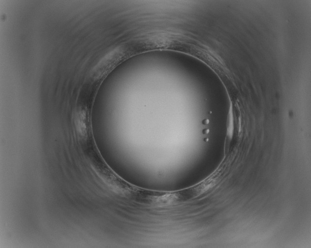 X0000070210122200605301412