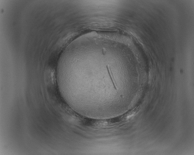 X0000070210123200605301412