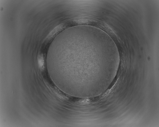 X0000070210124200605301412