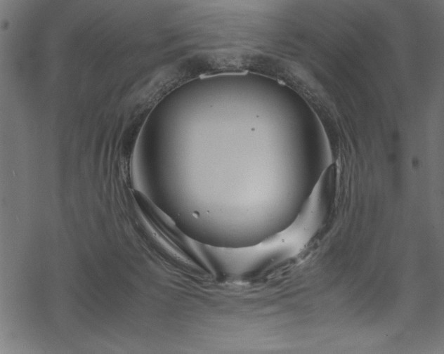 X0000070210125200605301412