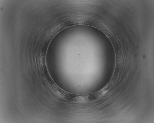 X0000070210126200605301412