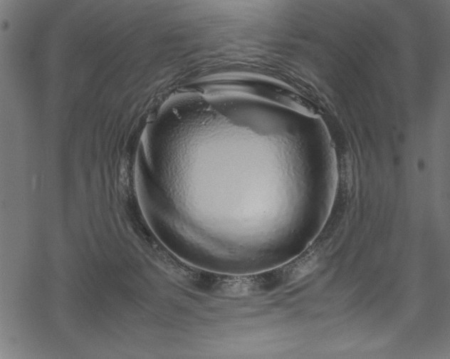 X0000070210127200605301412