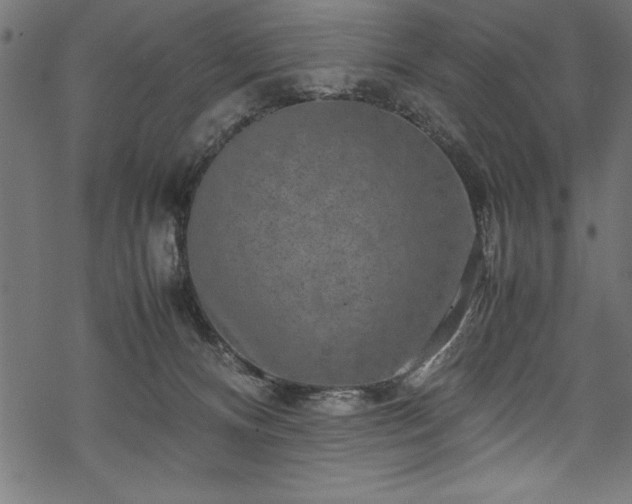 X0000070210128200605301412