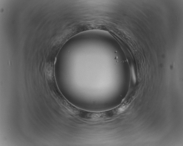 X0000070210129200605301412