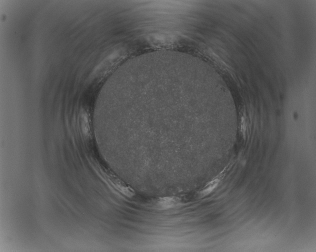 X0000070210130200605301412