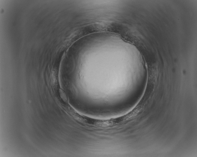 X0000070210131200605301412