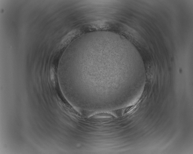 X0000070210132200605301412