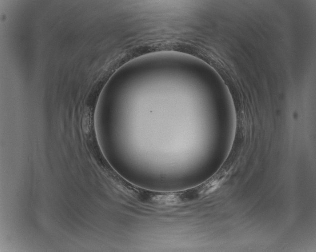 X0000070210133200605301412