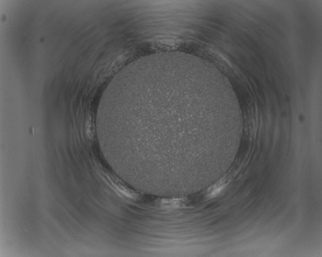 X0000070210134200605301412