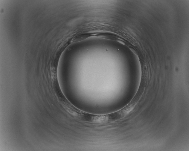 X0000070210135200605301412