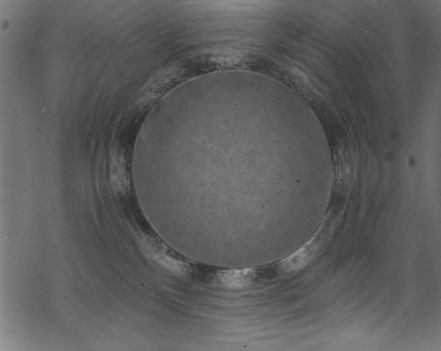 X0000070210136200605301412