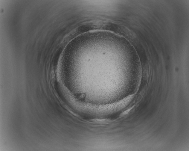 X0000070210137200605301412