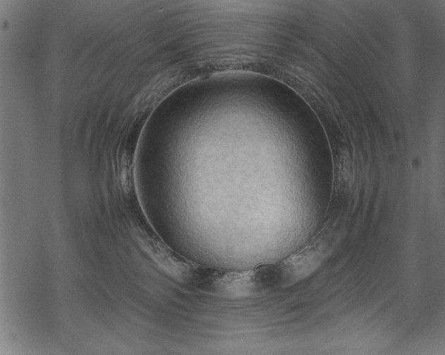 X0000070210138200605301412