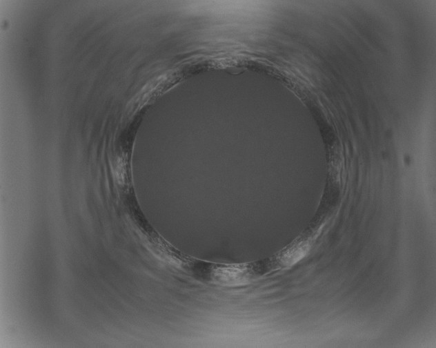 X0000070210139200605301412