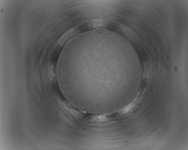 X0000070210140200605301412