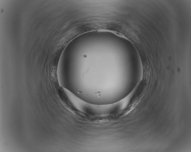 X0000070210141200605301412