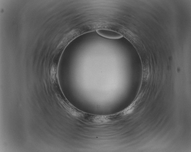 X0000070210142200605301412