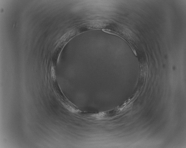 X0000070210143200605301412