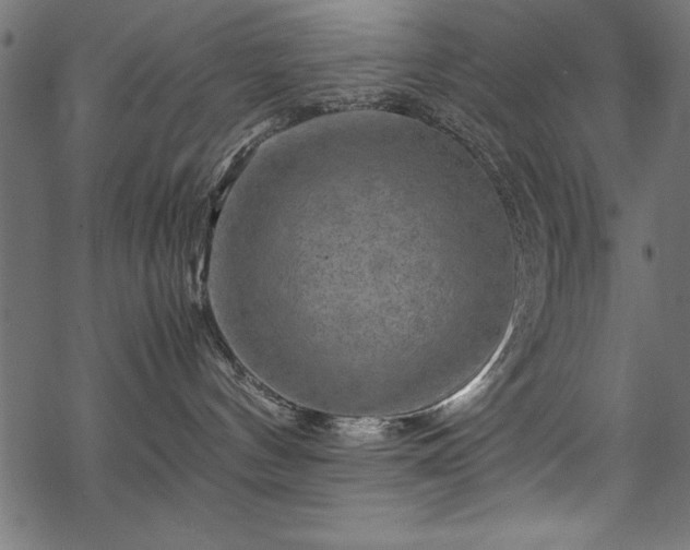 X0000070210144200605301412