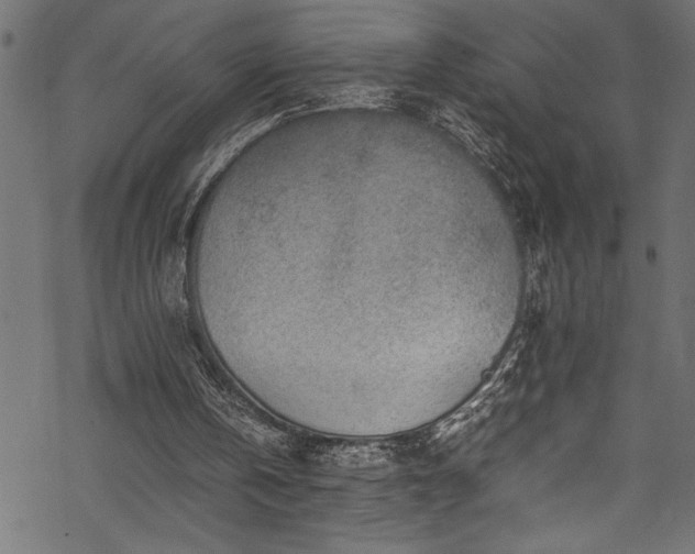 X0000070210146200605301411