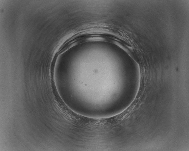 X0000070210148200605301411