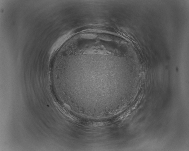 X0000070210149200605301411