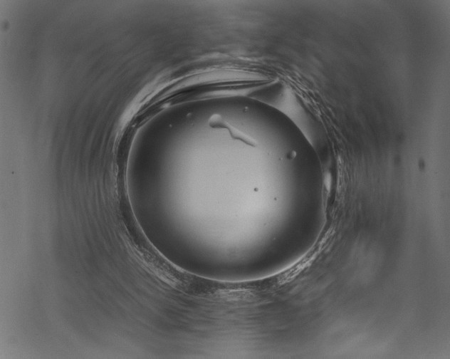 X0000070210150200605301411