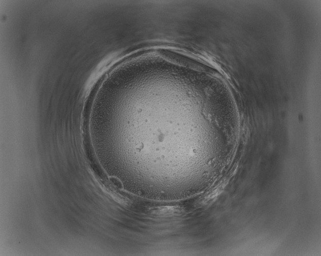 X0000070210151200605301411