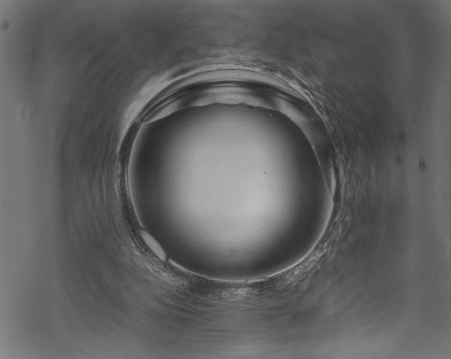 X0000070210152200605301411