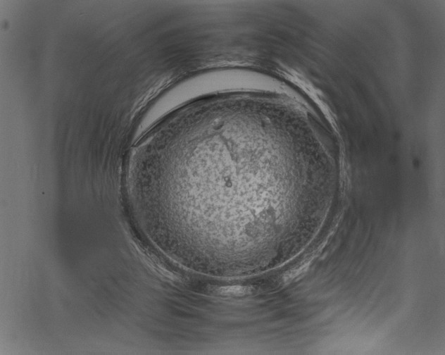 X0000070210153200605301411