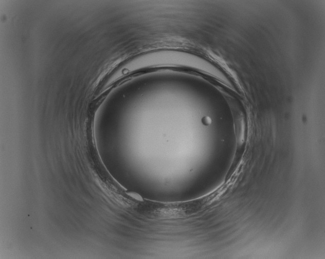 X0000070210154200605301411