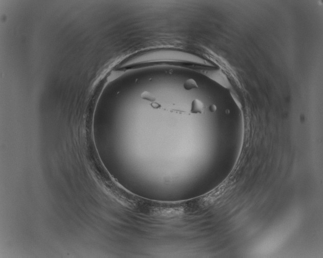 X0000070210155200605301411