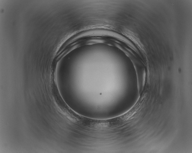 X0000070210156200605301411