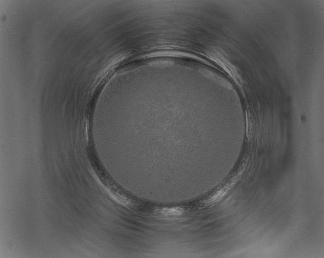 X0000070210157200605301411