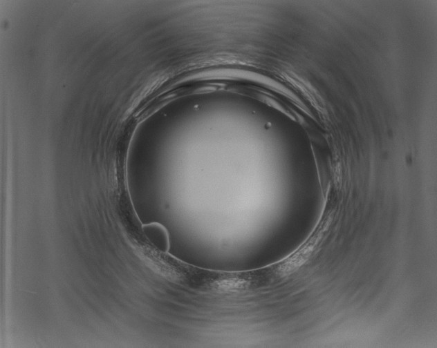 X0000070210158200605301411