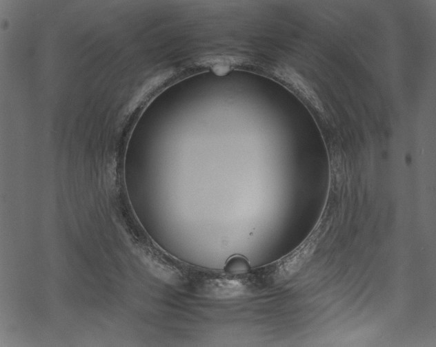 X0000070210159200605301411