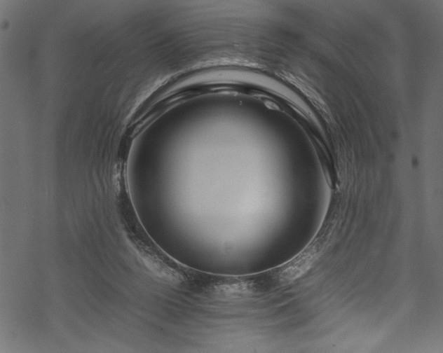 X0000070210160200605301411