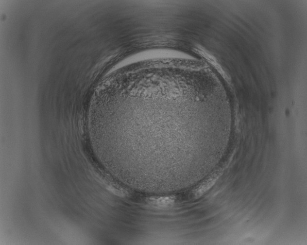 X0000070210161200605301411