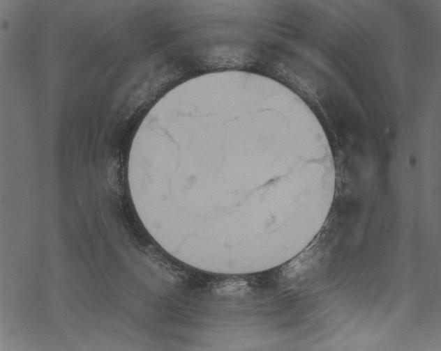 X0000070210162200605301411