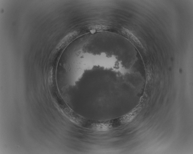 X0000070210163200605301411