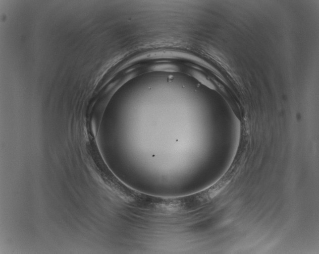 X0000070210164200605301411