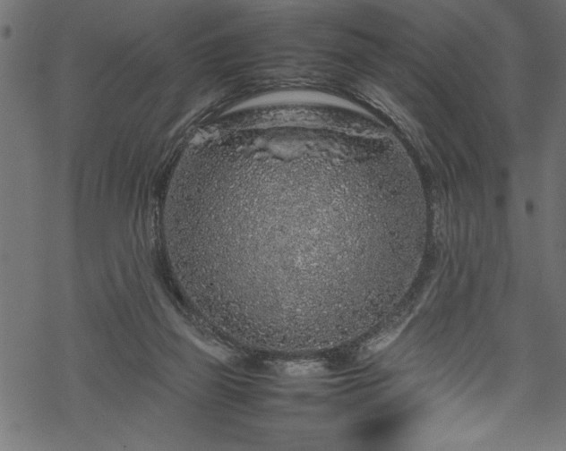 X0000070210165200605301411