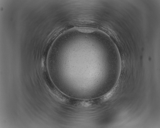 X0000070210166200605301411