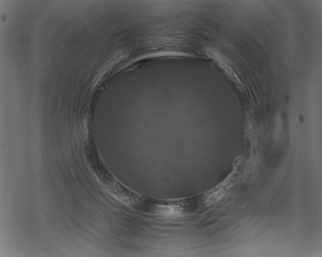 X0000070210167200605301411