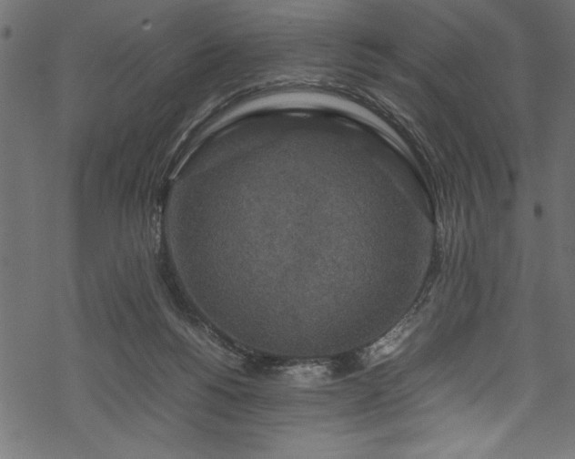 X0000070210168200605301411