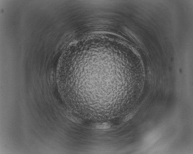 X0000070210169200605301411