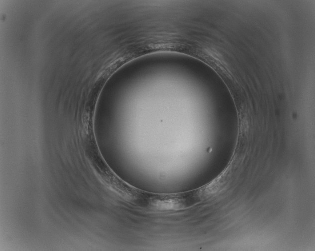 X0000070210171200605301411